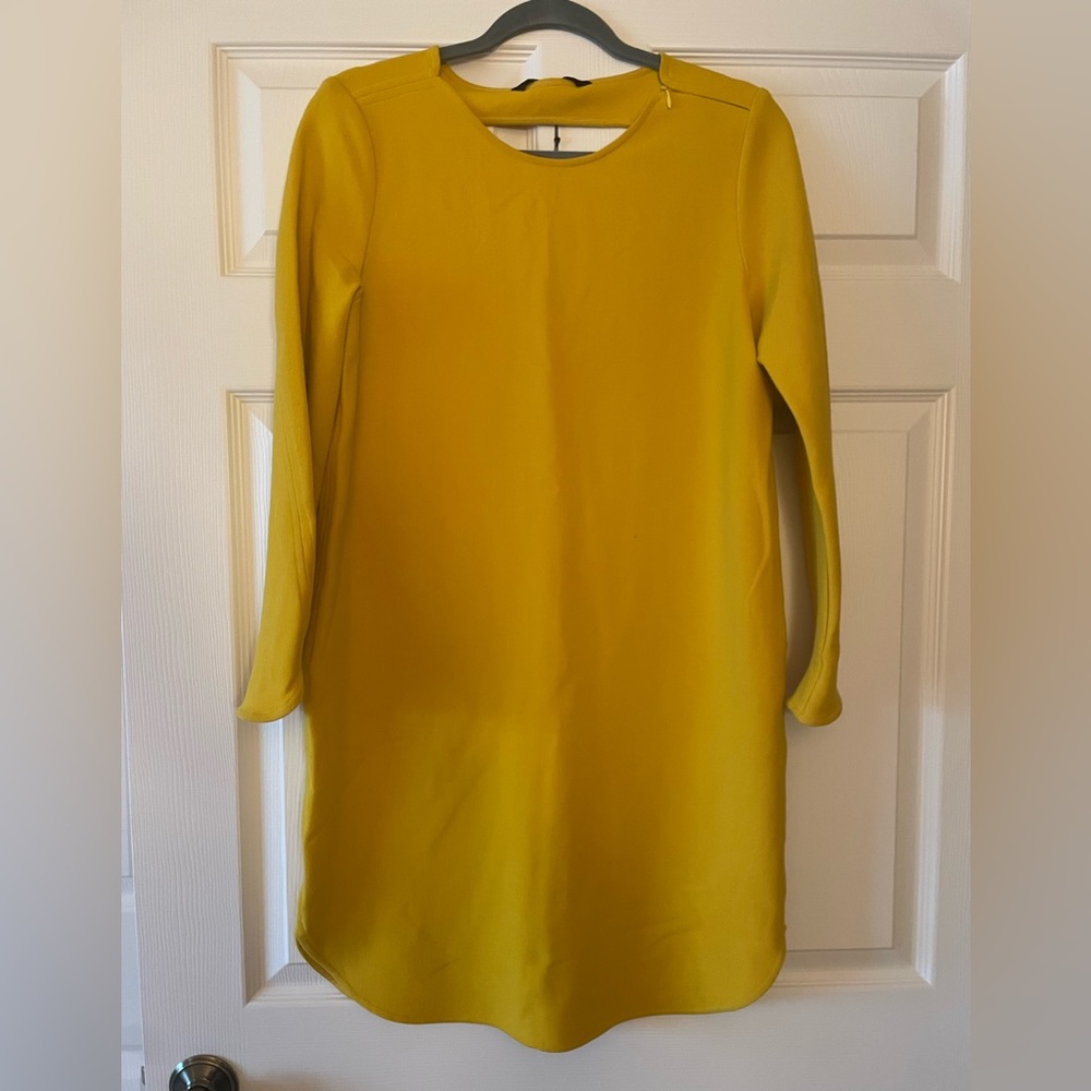 Zara shift dress. Size: M (never worn with tags). Well made. Beautiful color.